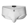 LAUNDERED CONSCIOUS BRIEF